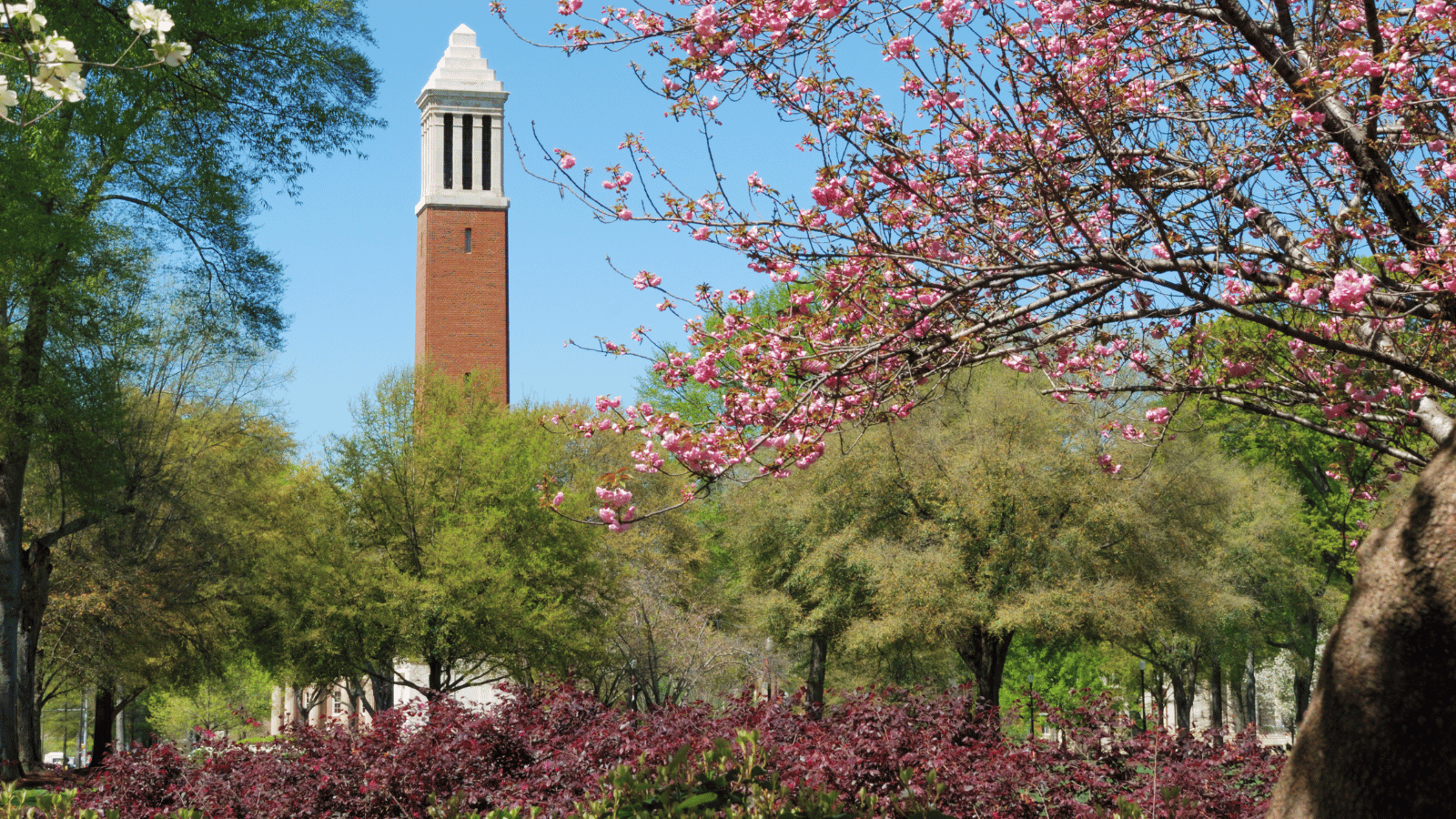 University of Alabama